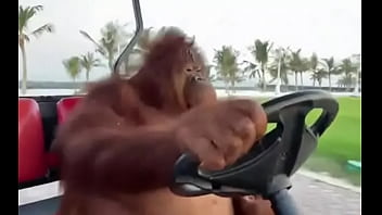 Fodendo com puta dentro do saveiro