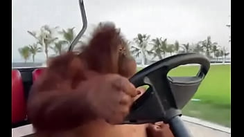 Fodendo com puta dentro do saveiro