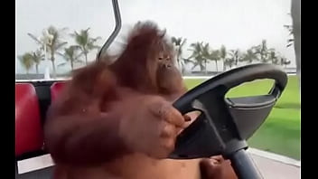 Fodendo com puta dentro do saveiro