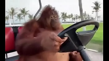 Fodendo com puta dentro do saveiro