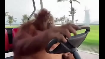 Fodendo com puta dentro do saveiro