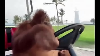 Fodendo com puta dentro do saveiro