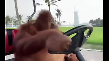 Fodendo com puta dentro do saveiro