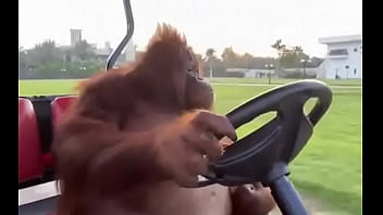 Fodendo com puta dentro do saveiro