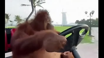 Fodendo com puta dentro do saveiro