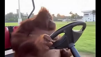 Fodendo com puta dentro do saveiro