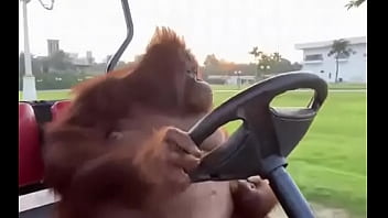 Fodendo com puta dentro do saveiro