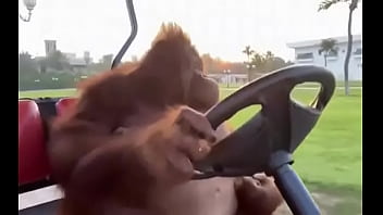 Fodendo com puta dentro do saveiro