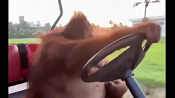 Fodendo com puta dentro do saveiro