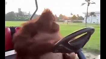 Fodendo com puta dentro do saveiro