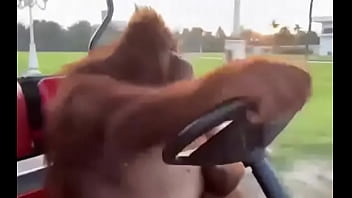 Fodendo com puta dentro do saveiro Fodendo com puta dentro do saveiro