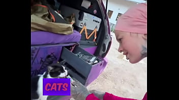 A cat was waiting for us on our car we don’t know who she is but she’s cute what would you name her #straycat