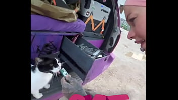 A cat was waiting for us on our car we don’t know who she is but she’s cute what would you name her #straycat