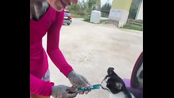 A cat was waiting for us on our car we don’t know who she is but she’s cute what would you name her #straycat