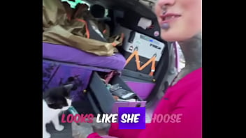 A cat was waiting for us on our car we don’t know who she is but she’s cute what would you name her #straycat