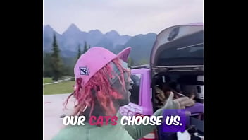 A cat was waiting for us on our car we don’t know who she is but she’s cute what would you name her #straycat