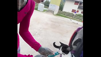 A cat was waiting for us on our car we don’t know who she is but she’s cute what would you name her #straycat