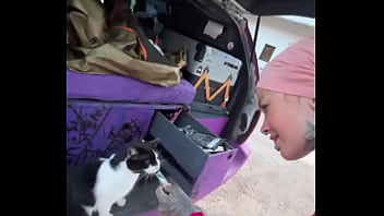 A cat was waiting for us on our car we don’t know who she is but she’s cute what would you name her #straycat