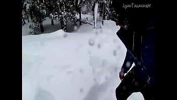 Willyrex viaja a la ruta 216 de shinnoh pokemon platino