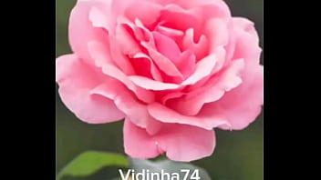 áudio vidinha muito safada querendo pica