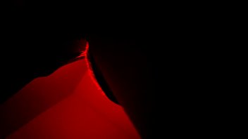 Chubby mexican sur duck in big white dick