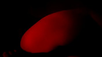 Chubby mexican sur duck in big white dick Chubby mexican sur duck in big white dick