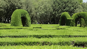 A liz in wonderland 1 liz meets blondie the rabbit