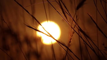 Gangbang con compañeros de trabajo 3 relatos eróticos cortos en español