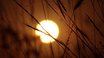 Gangbang con compañeros de trabajo 3 relatos eróticos cortos en español