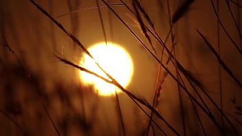 Gangbang con compañeros de trabajo 3 relatos eróticos cortos en español