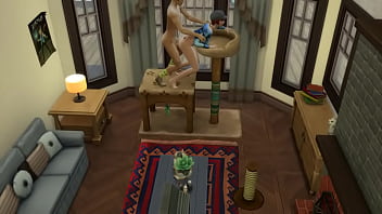 Странная любительница кошек затащила усатого друга на палку чая