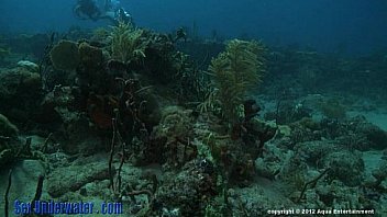 Video bokep part 2364149