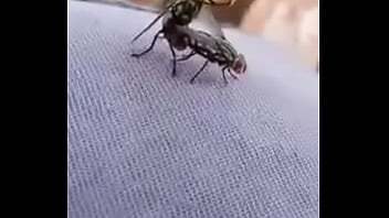 El mejor sexo que veras hoy