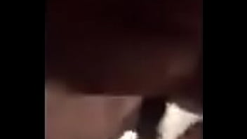 Message me for pictures