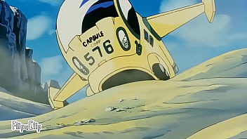 El maestro roshi es un pillin