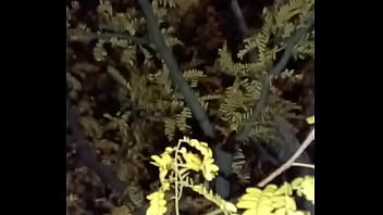 I'm a jolly good fellow while smiling with yellow trees and anal ending