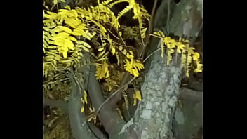 I'm a jolly good fellow while smiling with yellow trees and anal ending