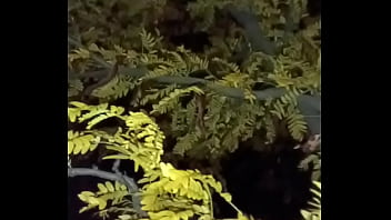 I'm a jolly good fellow while smiling with yellow trees and anal ending