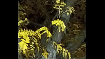 I'm a jolly good fellow while smiling with yellow trees and anal ending