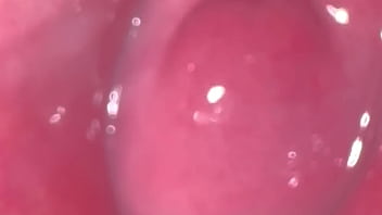 Yukimori & nanami's fun sex diary