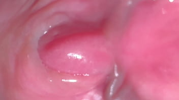 Yukimori & nanami's fun sex diary