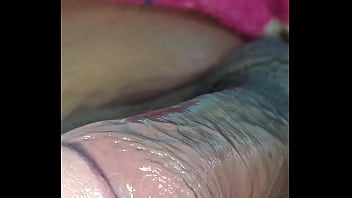 Paja solitaria con pipirialverto ángulo