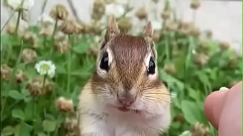 Sex talk story about friend and friends wife