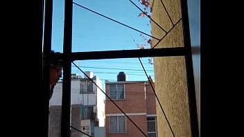 Camino un poco desnudo