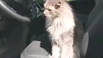 Doodle's first vid on the site