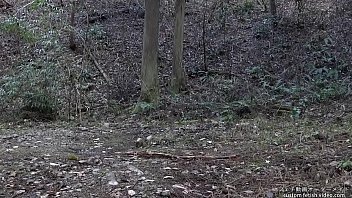 Paraphilia sexual perversion