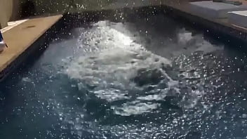 ️ update #36 2021 06