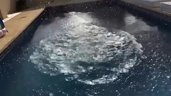 ️ update #36 2021 06