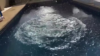 ️ update #36 2021 06