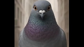 Tem algo de errado ein